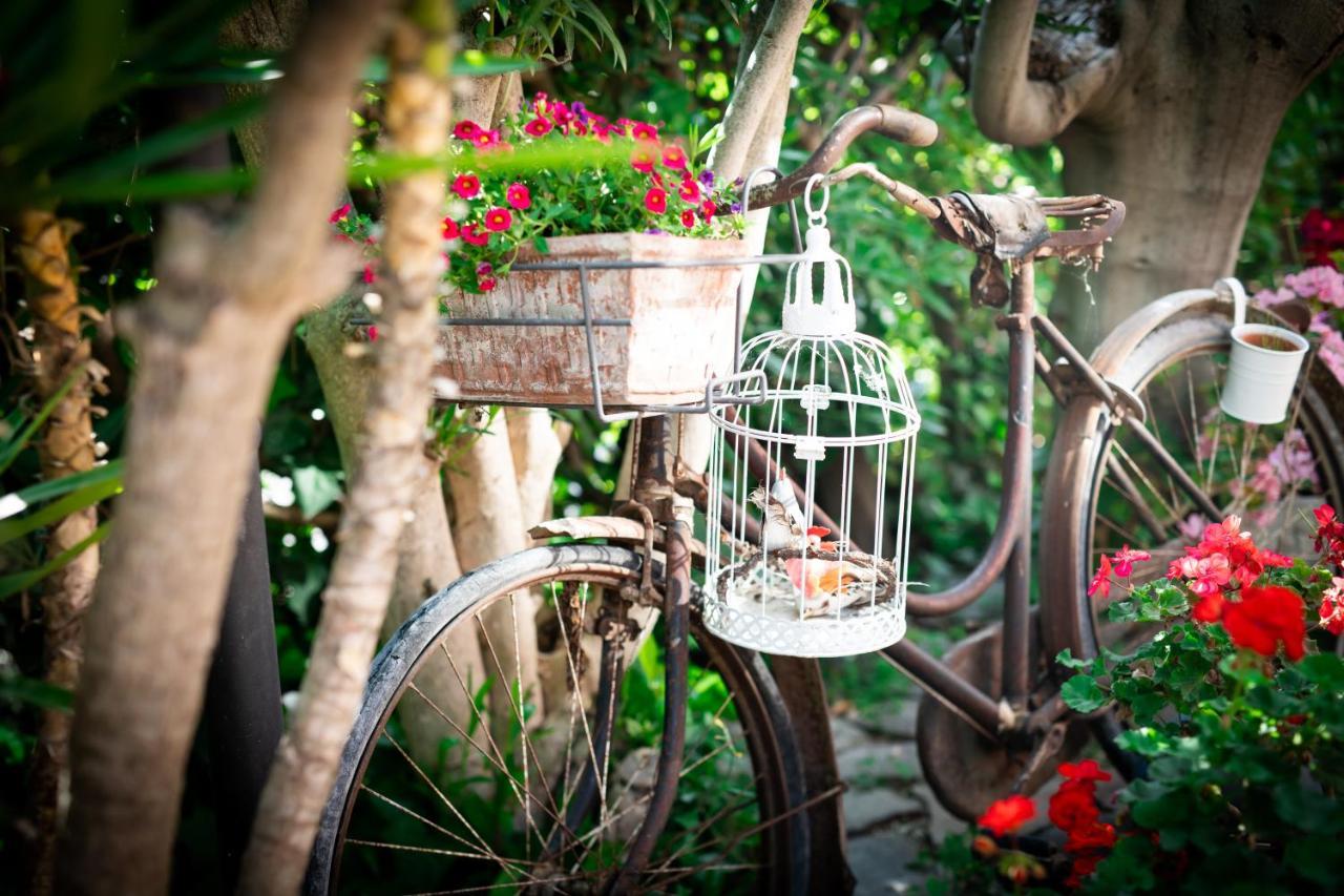 B&B Due Sorelle Sirolo Luaran gambar